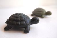 mini-kilpkonnad, pikkus 6,5cm, 12€